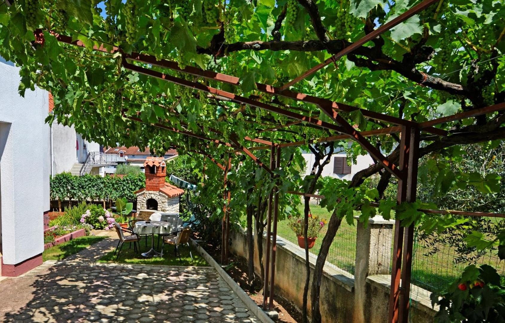 Gasthof Complex Nevia
